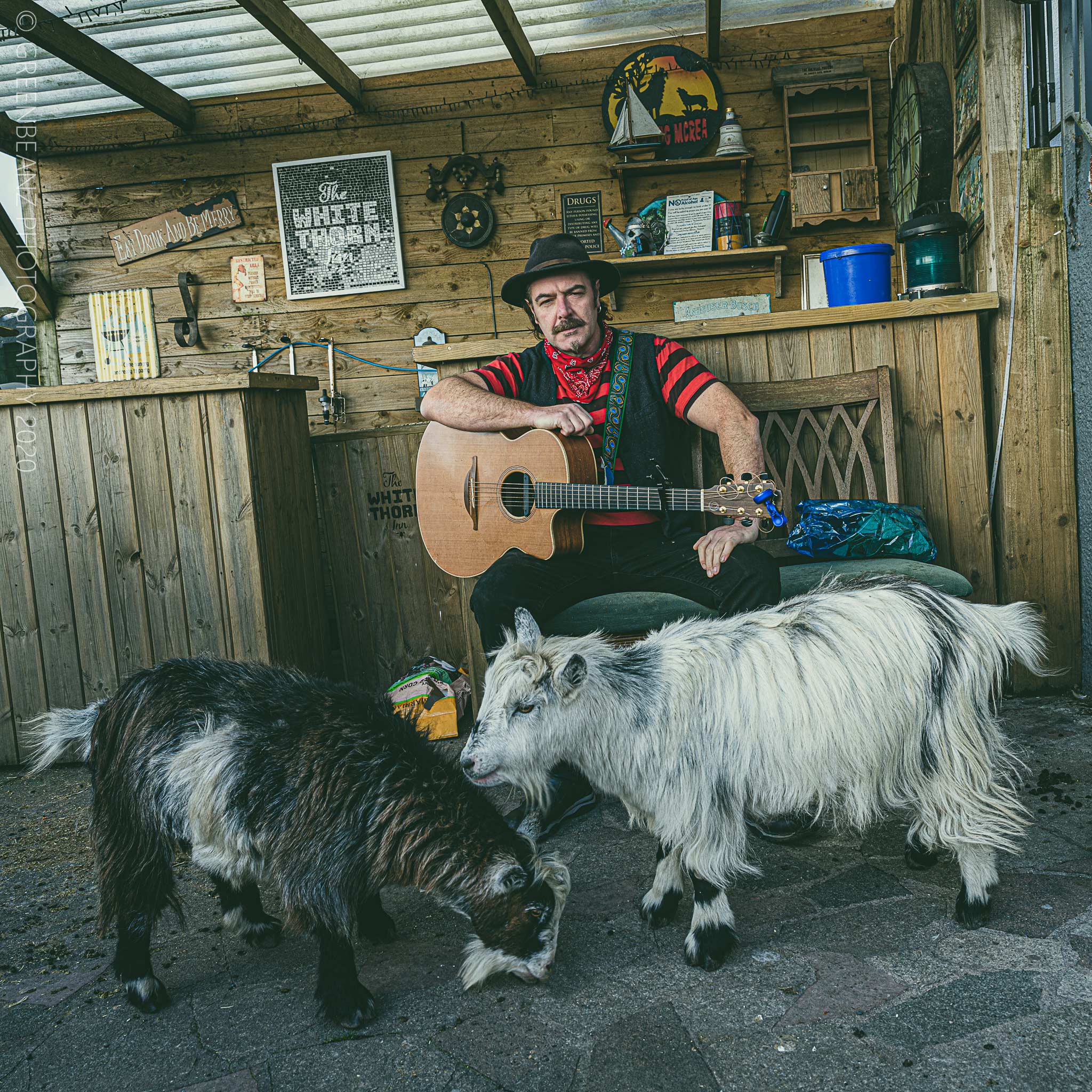 Mike 'Mad Dog' Mathieson -Mad Dog Mcrea and Landlord of The White Thorn with his goats 'Gin and Tonic' part of 2020's 'MUTED-Musicians Under Lockdown'